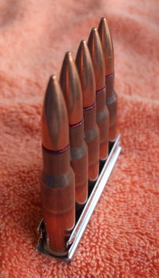 Five 7.62x54mmR cartridges in a stripper clip.